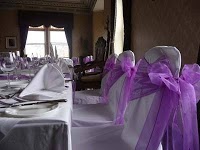 Posh Chair Covers and Bows   Hartlepool 1073685 Image 7